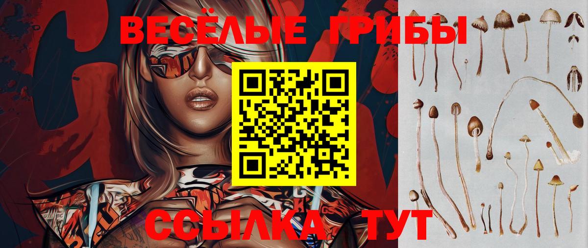 Анжеро-Судженск  Псилоцибиновые грибы Psilocybe  как найти закладки  Вход с VPN  Галлюциногенные грибы Psilocybine cubensis 